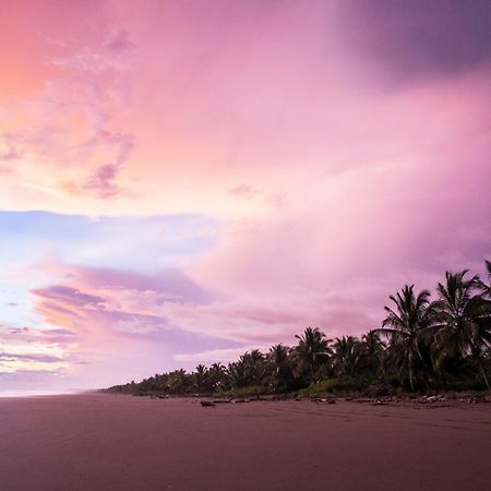 Show Pony Beach Resort And Suites Las Lajas  Exteriér fotografie