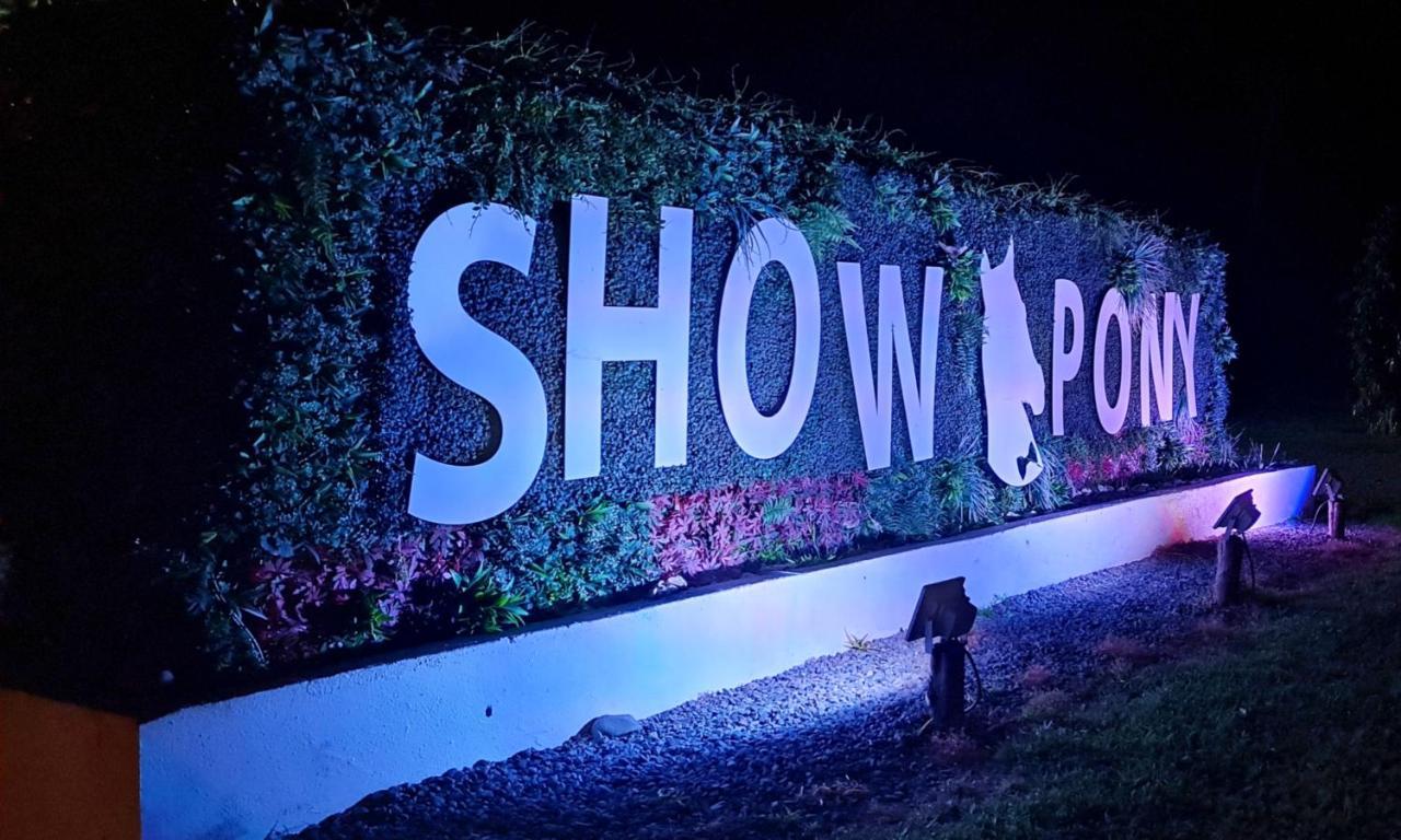 Show Pony Beach Resort And Suites Las Lajas  Exteriér fotografie