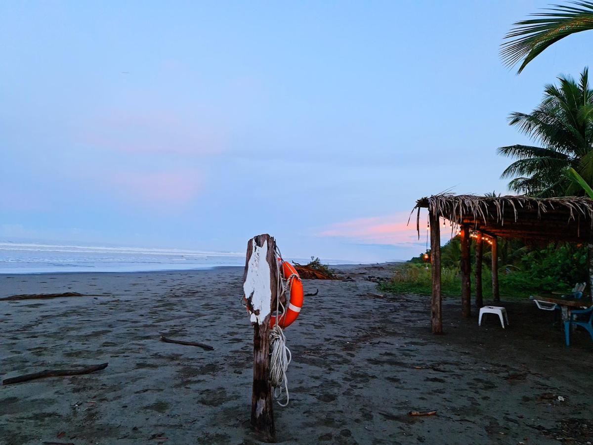 Show Pony Beach Resort And Suites Las Lajas  Exteriér fotografie
