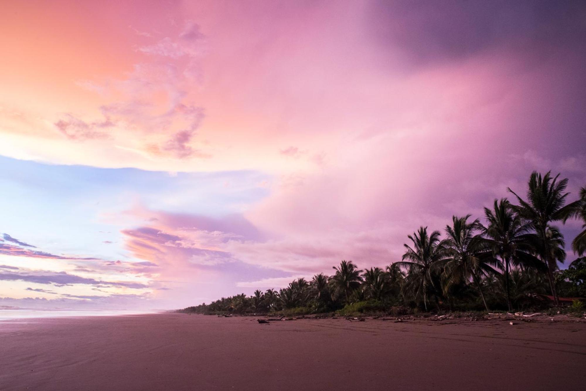 Show Pony Beach Resort And Suites Las Lajas  Exteriér fotografie
