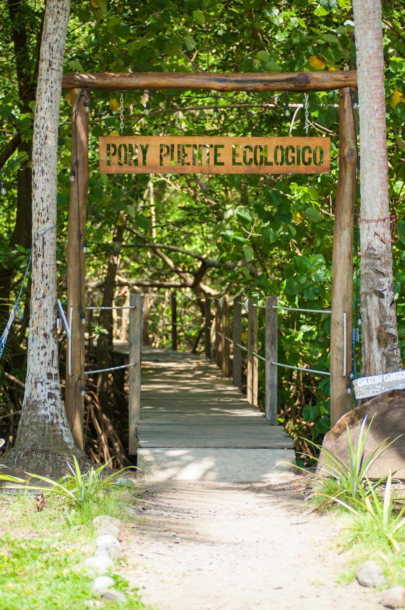 Show Pony Beach Resort And Suites Las Lajas  Exteriér fotografie