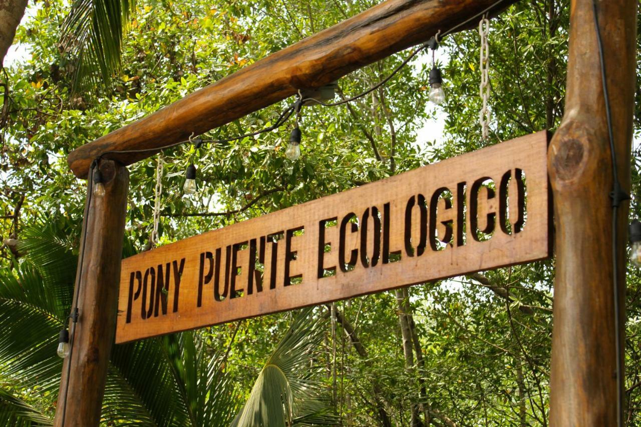 Show Pony Beach Resort And Suites Las Lajas  Exteriér fotografie